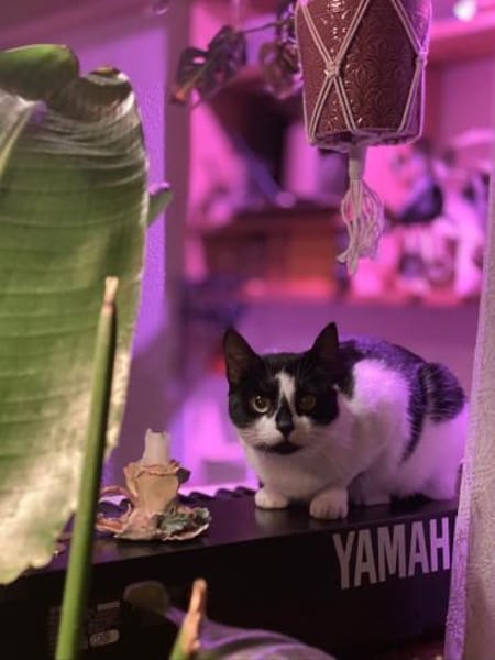 Patty sucht ein liebevolles Zuhause