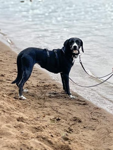 Dua wartet auf ihre eigene Familie