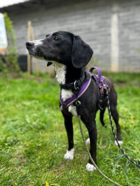 Dua wartet auf ihre eigene Familie