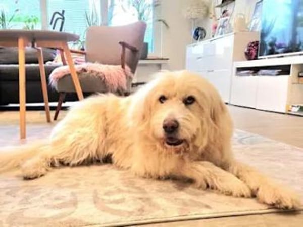 TWIST - zur Pension in Hessen