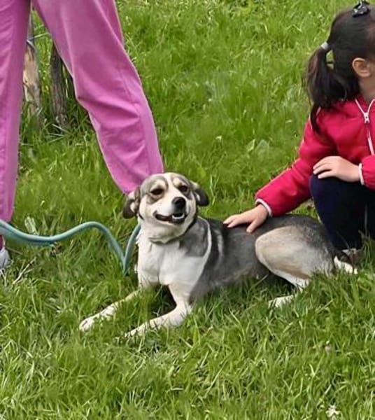 BRINA = Schatz auf vier Pfoten ♥