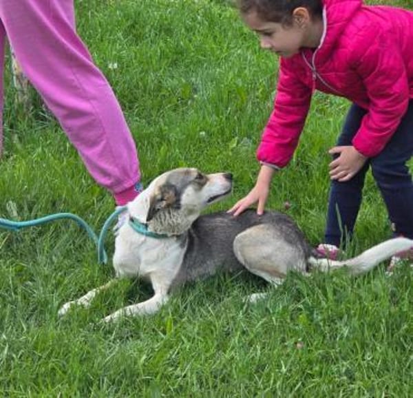 BRINA = Schatz auf vier Pfoten ♥