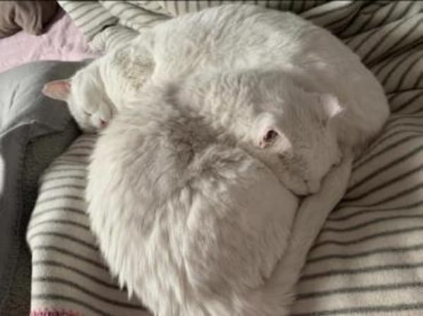 Geschwister Frieda und Mona