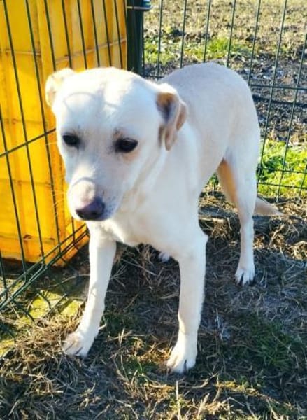 Piruett sucht liebevolle Menschen