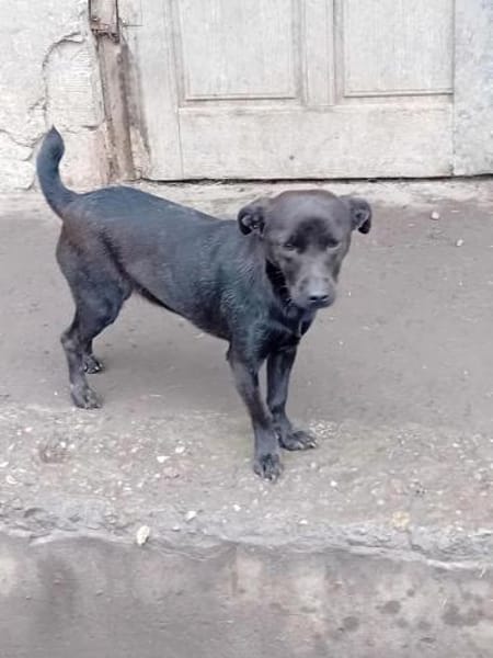 Charmante Fani sucht Familie