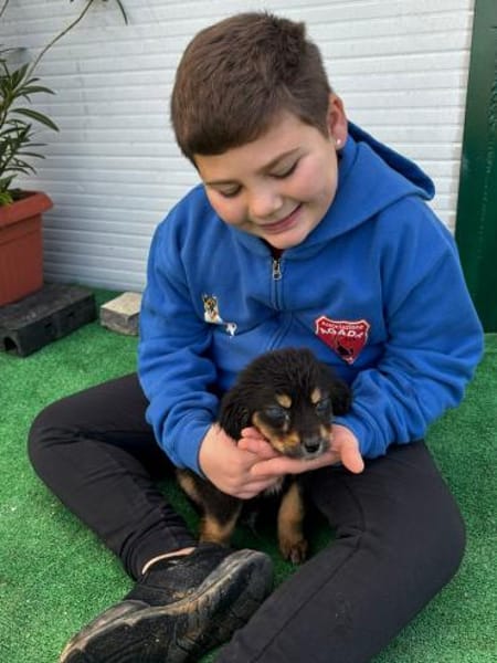 Welpe Franceso blind