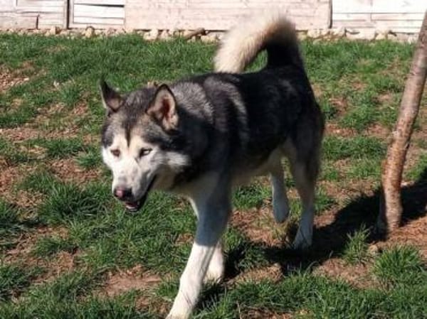 MAX hat ein schönes Zuhause verdient