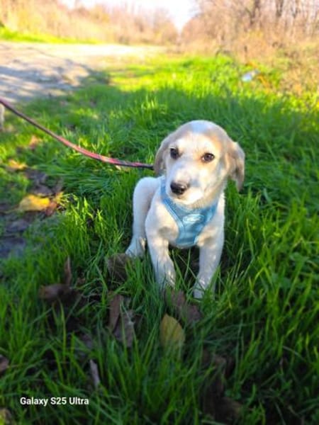 Kelly sucht ein Zuhause