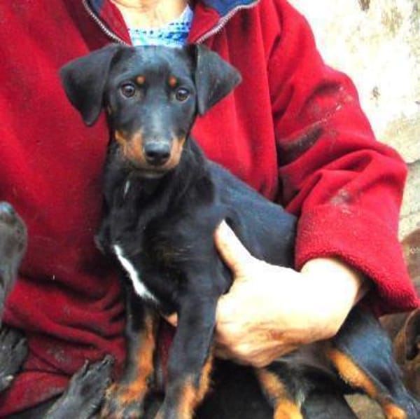 Junge Krista möchte gerne reisen