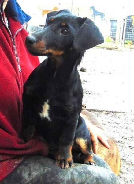 Junge Krista möchte gerne reisen