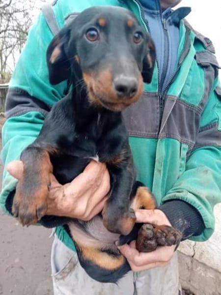 Junge Krista möchte gerne reisen