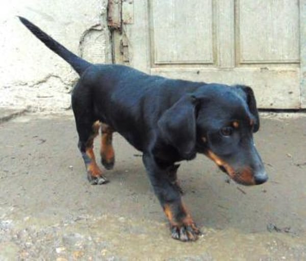 Junge Krista möchte gerne reisen