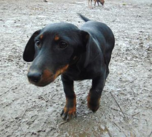 Junge Krista möchte gerne reisen