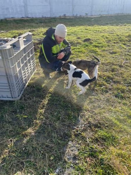 Filou sucht seine Schmusepartner