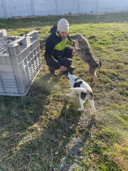 Filou sucht seine Schmusepartner