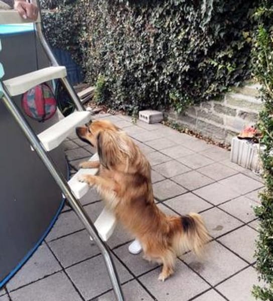 ROBY - zusammen heimelig machen