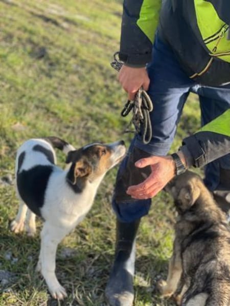 Momo sucht seine Familie