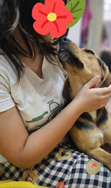 Leia  Schmusemaus sucht zu ihr Hause