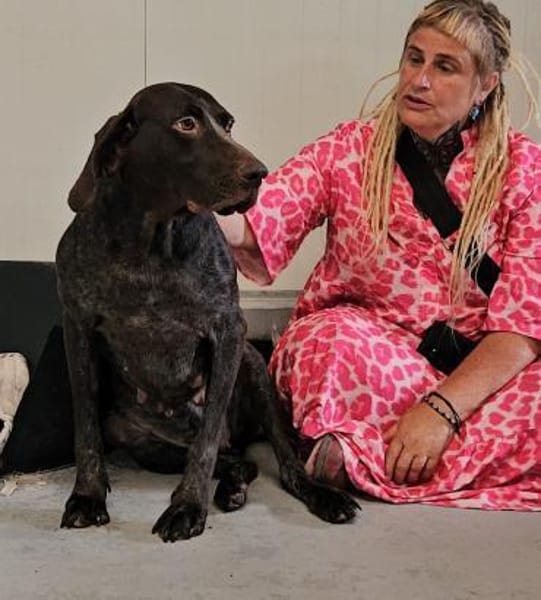 FIENCHEN - in 86980 Ingenried