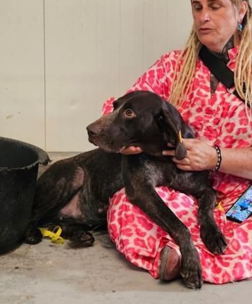 FIENCHEN - in 86980 Ingenried