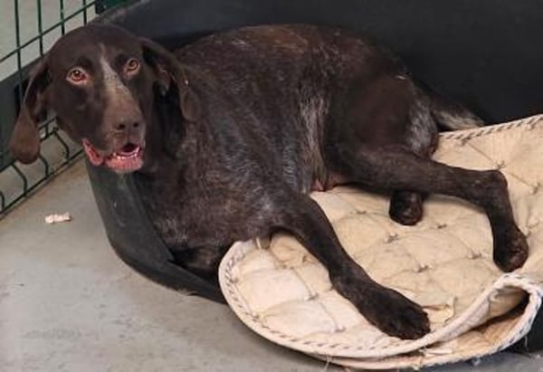 FIENCHEN - in 86980 Ingenried