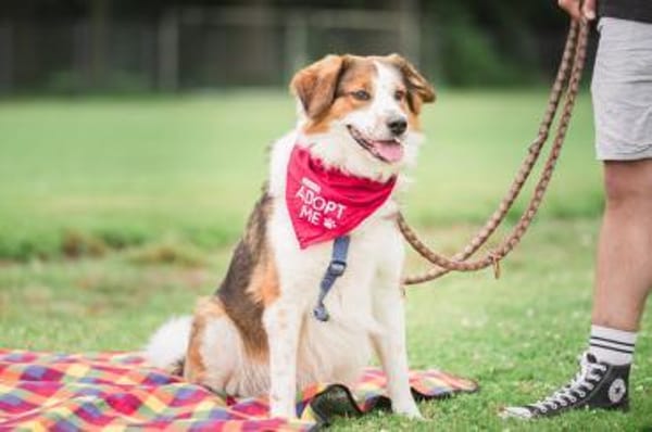 BAJU mit Herz und Charakter