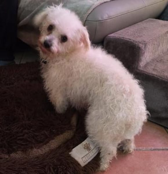 Mira in 63654 Büdingen