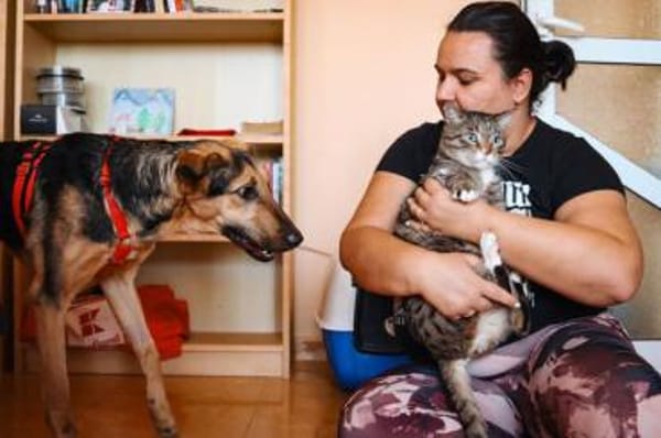 Pappy - sehr lieb, klug, etwas scheu