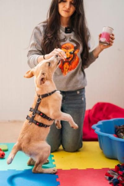 Bounty - fröhliche Zuckerschnute