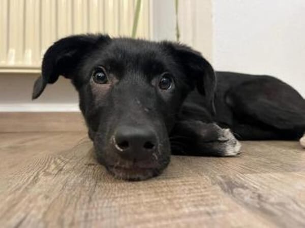 TESSI * taffe Mädchen kommen überall hin