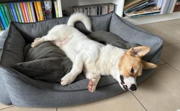 Hier kommt dein Herzblatt!