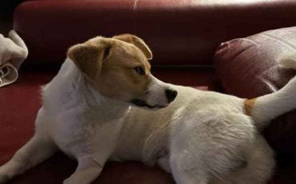 Hier kommt dein Herzblatt!