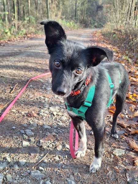 zarte Madita sucht ihre Familie