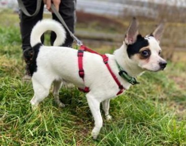 BERRY moechte sein Leben beginnen