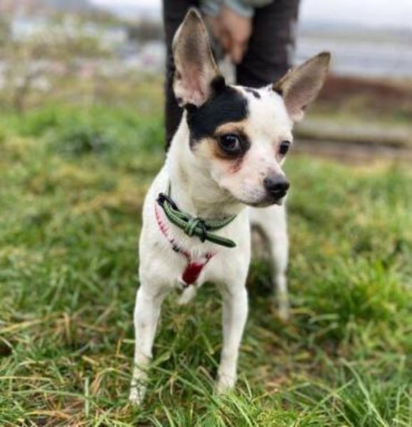 BERRY moechte sein Leben beginnen