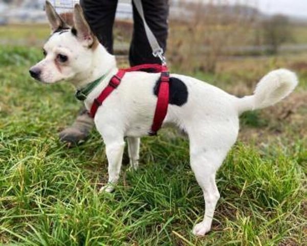 BERRY moechte sein Leben beginnen