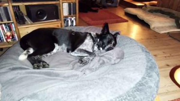 HANNES - Notfall bei Fulda!