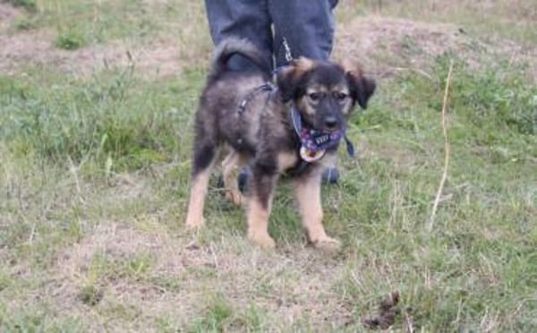 Liv wartet schon auf Deine Anfrage!