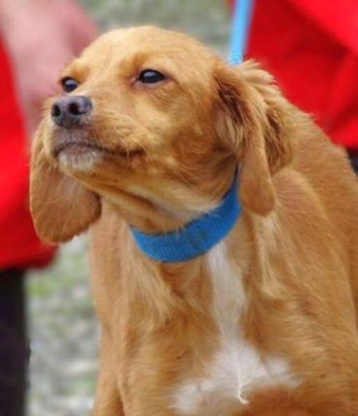 Zauberhafte kleine BRUNA