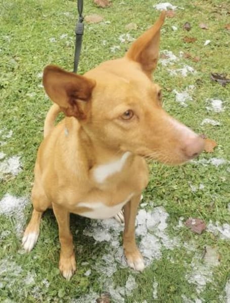 Wunderschöne Venus sucht eine Familie