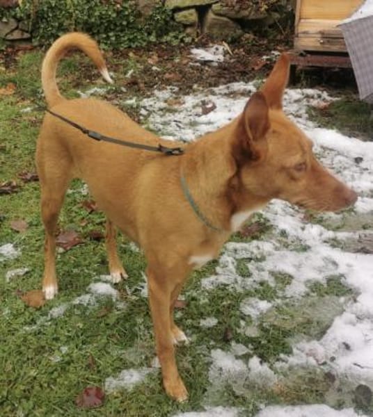 Wunderschöne Venus sucht eine Familie