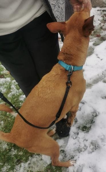 Wunderschöne Venus sucht eine Familie