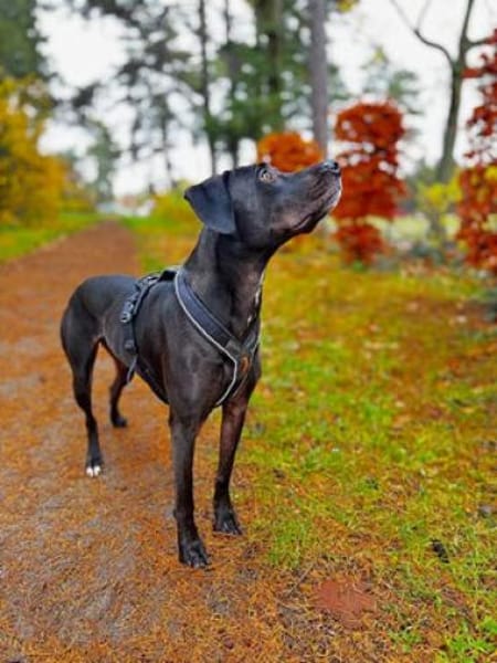 Nuit - clever und sportlich