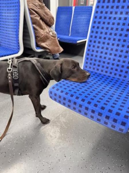 Nuit - clever und sportlich