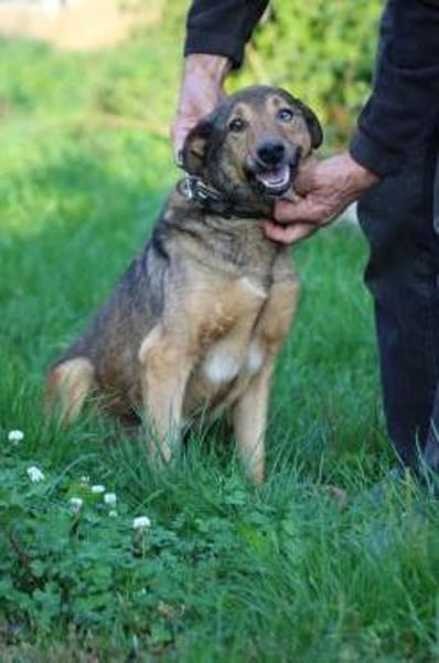 Cuno - zutraulich u. freundlich