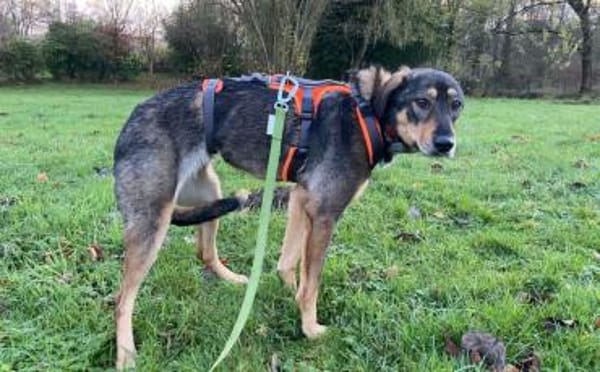 Daphne will endlich vertrauen