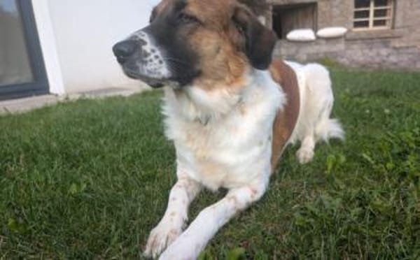 Khaleesi wartet bereits auf dich