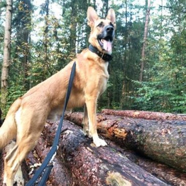 Pepe - NOTFALL braucht starke Menschen