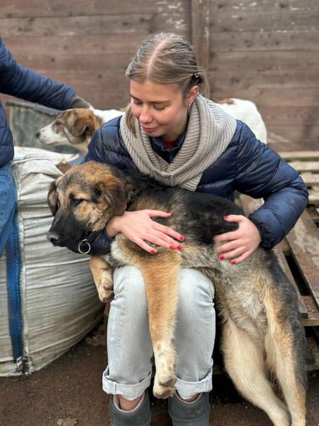 SISSY - verspielt und menschenbezogen