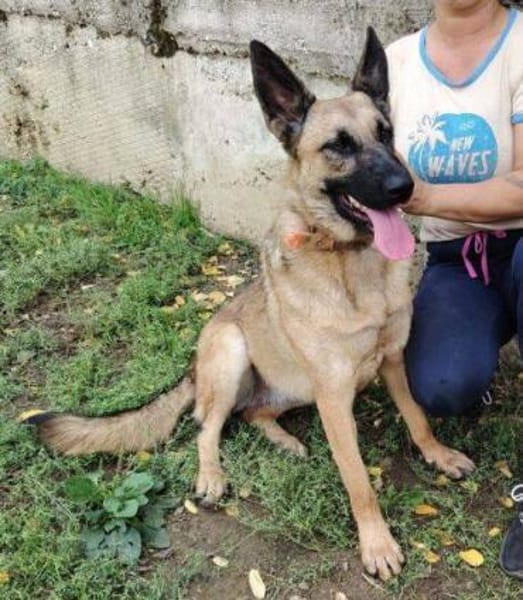 THEA 2 sucht kuscheliges Zuhause